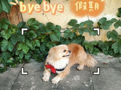 -两江国际影视城
