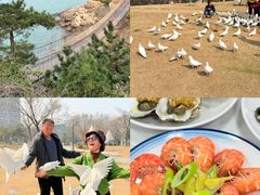 -在海一方公园