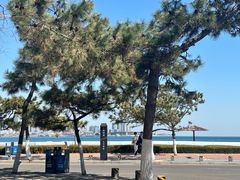 -青岛第三海水浴场
