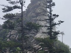 -朱雀国家森林公园