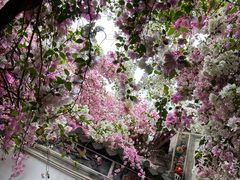 -深圳国际园林花卉博览园