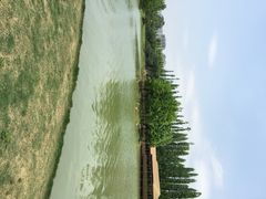iphone_upload_pic-秀丽东方