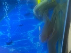 -喜井无限自助烤肉公司(石厦店)