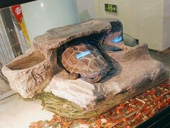 -粉墨私人影院•无人自助(维多利亚店)