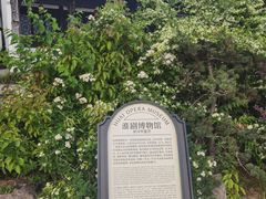 -聚龙湖公园