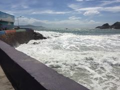 -大王村沙滩