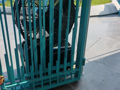 -海合安武汉极地海洋公园