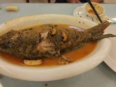 红烧黄河野生大鲤鱼-豫满楼(郑东新区店)