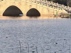 -飞来湖湿地公园