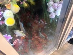 -花未央花店·WEYOUNG