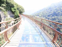 -少华山国家森林公园