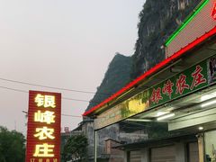 -银峰农庄·特色烧鸡·鲜无花果浸鸡