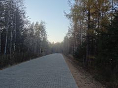 景点-五营红松林海景区