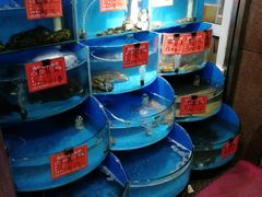 水产区-北戴河庆山饭店·海鲜砂锅粥(北戴河黑石路店)