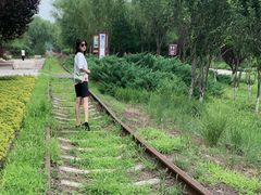 -永定河休闲森林公园