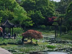 -西湖天地