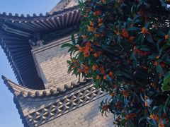 -大慈恩寺(大雁塔)