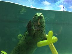 -成都浩海立方海洋公园