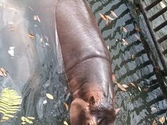 -海南热带野生动植物园