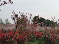 -云幽谷旅游区