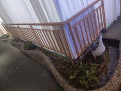 -醉霖生态餐厅(交大店)