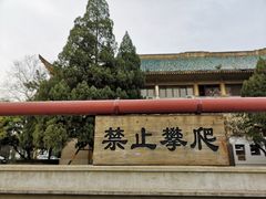 -武汉大学-樱园