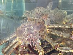 -东江海鲜酒家(客村店)