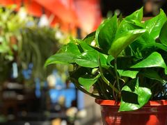 -有才叔北京时间涮肉(紫薇尚层店)