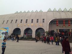 iphone_upload_pic-自贡恐龙博物馆