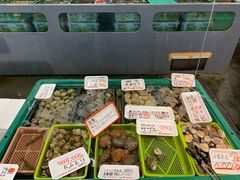 -海鮮寿司とれとれ市場