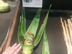 -果蔬好生活超市(乐堤港店)