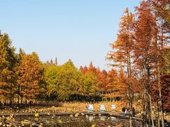 -长广溪湿地公园