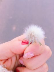 -U mi Nail美甲工作室