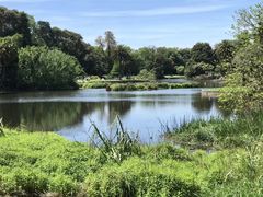 -墨尔本皇家植物园