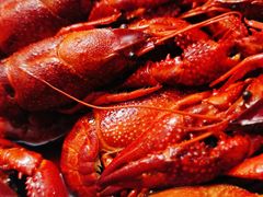 -盱眙虾神於氏龙虾(夫子庙红街店)