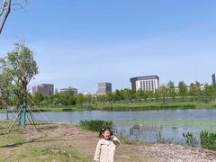 -南汇新城城市公园