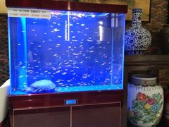 水产区-老江南春·中国龙菜(衡山路店)