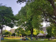 -七宝老街-闵行市民文化广场