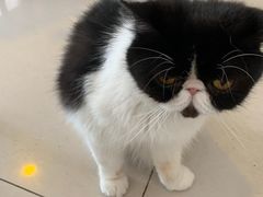 -平行世界·猫咖(首经贸店)