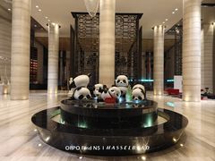 -重庆富力艾美酒店