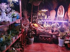 -莫太花餐厅(河北路店)