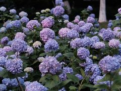 -常州古运河南大街文化旅游区-人民公园