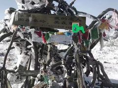 -秦岭风景区