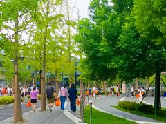 -龙华素斋(龙华路店)