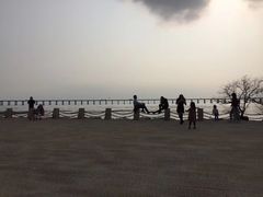 -宝安西湾红树林湿地公园