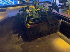 -浅深(北京北四环精品店)