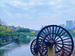 -重庆彩云湖湿地公园