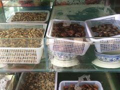 前海沿儿-鲁前海沿儿