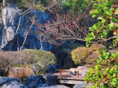 -上海吴淞炮台湾国家湿地公园