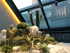 -大树餐厅(红旗街万达店)